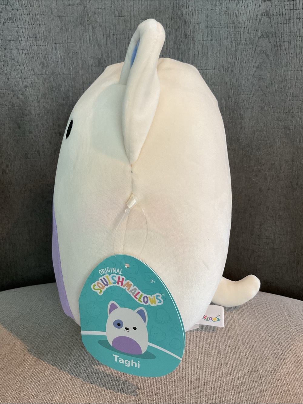 NWT Squishmallows Taghi the Bull Terrier Dog 8" Plush – FLAWED - Picture 5 of 10